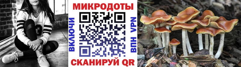 Псилоцибиновые грибы GOLDEN TEACHER  нарко площадка как зайти  Слободской 